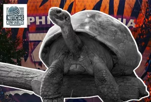 Mommy, una tortuga gigante de las Islas Galápagos de 100 años de edad se ha convertido en madre por primera vez en el zoológico de Filadelfia, Estados Unidos.